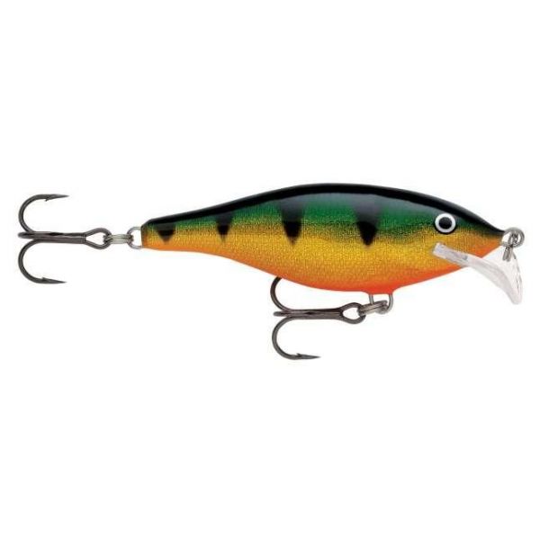 Scatter Rap Shad 05 P