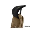 DELPHIN Ergonia Carpath