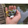 River2Sea - Whopper Plopper 60mm (Powder)