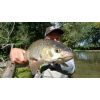 River2Sea - Whopper Plopper 60mm (Powder)