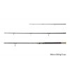 Delphin RIVER Trophy NXT +3 špičky | 360cm/200g/3 diely