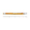 IBITE ŠPIČKA FEEDER CARBON NA CARP EXPERT ELITE FEEDER PRIEMER: 2,9 MM ČERVENÁ + ČERVENÁ LED