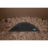 Bivak Delphin C3 LUX ClimaControl Carpath
