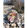 Dipované umelé nástrahy FishUP Tanta 63mm-2,5”/8ks Farba: Orange