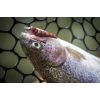 Dipované umelé nástrahy FishUP Yochu 43mm-1,7”/8ks Farba: Orange