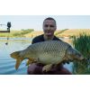 Tandem Baits Super Feed Boilies 14mm 1 kg GLM Mussell (mušľa)