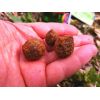 Super Feed X Core hookers MIX 14/18mm, 200ml X-Berry