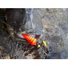 Sumcový podvodný plavák U-Float Tree červený 7,5cm/20g