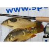 Feeder prúty Xclusive NT Medium Heavy Feeder 360cm /100-190g