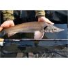 Feeder prúty Xclusive NT Medium Heavy Feeder 360cm /100-190g