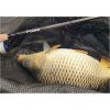 Feeder prúty Xclusive NT Medium Heavy Feeder 360cm /100-190g