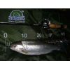 Prívlačové prúty SPORTEX Mystix Trout UL 2-diel 195cm / 1-7g