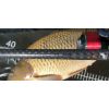 Kaprárske prúty Invictus Carp, 2 diel 366cm / 2,75lbs