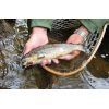 Dipované umelé nástrahy FishUP Tanta 51mm-2,0”/9ks Farba: Light Olive