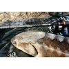 Feeder prúty Xclusive Feeder RS-2 Medium Light 3-diel 395cm / 65-125g