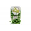 Kostný červ dipovaný 100g Tutti frutti