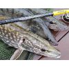 Prívlačové prúty Black Pearl GT-3 2-diel 240cm / 80g baitcast