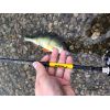 Prívlačové prúty Black Pearl GT-3 2-diel 270cm / 80g