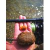Super Feed - Hook Fatty Pellet - 14mm / 150g Squid + Orange/Kalmár a pomaranč