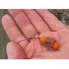 Super Feed - Hook Fatty Pellet - 14mm / 150g Halibut + Strawberry/Halibut a jahoda