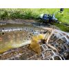 Dipované umelé nástrahy FishUP Scaly FAT 3,2-82mm 8ks farba: White