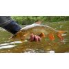 Dipované umelé nástrahy FishUP Scaly FAT 3,2-82mm 8ks farba: Light Olive