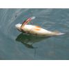 Salmo rybarske voblery Minnow M5S farba HTK