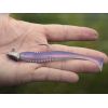 Standup jig s držiakom Delphin AeroFORCE / 5ks