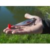 DuoPACK BOX Delphin Realix 3D / 6 x 2ks