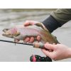 Delphin TROUTERA HardLure