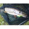 Salmo rybarske voblery SLIDER SD5F farba LIB