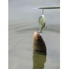 Salmo rybarske voblery SLIDER SD5F farba LIB