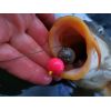 SuperFeed Fluo Pop-Up 14 / 16mm - 90g Crazy Lobster