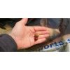 Boilies Crafty Catcher Retro Range 15mm / 1kg Peanut Pro/Arašid Pro Boilies