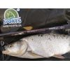 Kaprárske prúty SPORTEX Revolt CS-2 Carp 2-diel 366cm / 2,75lbs